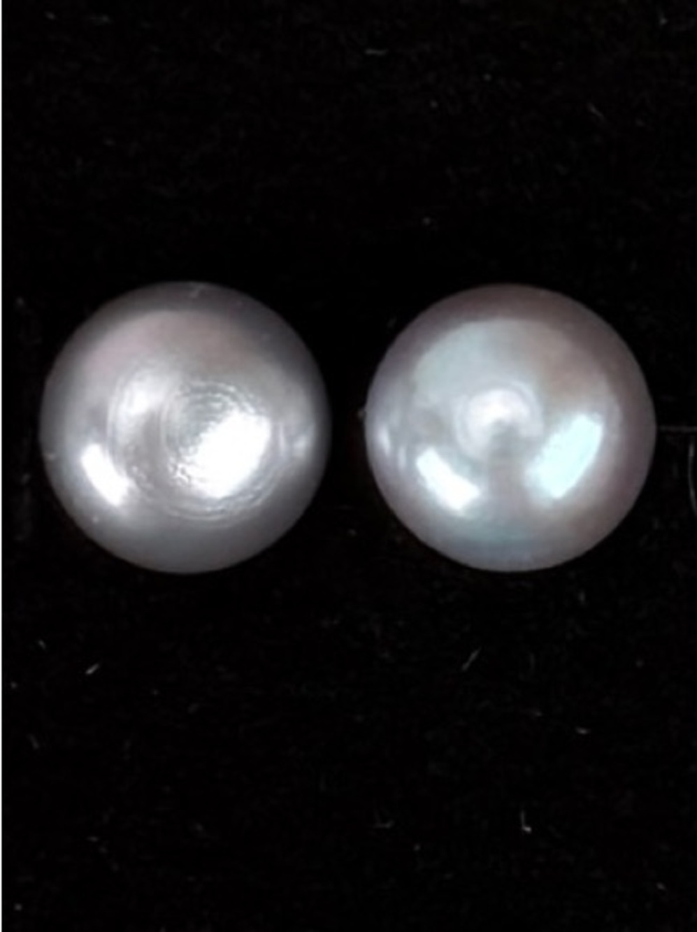 Silver Gray Freshwater Pearl Pierced Stud Earrings